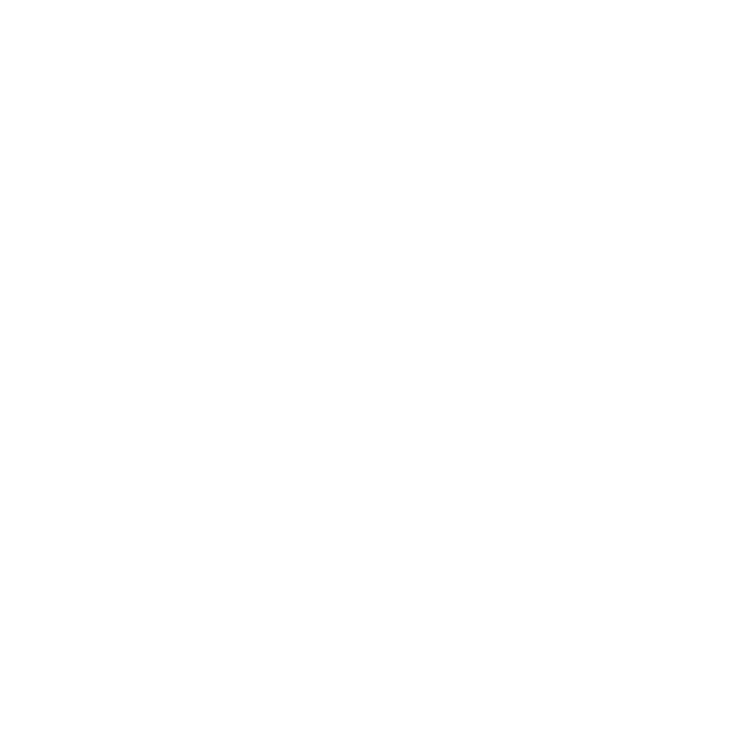 Client 13