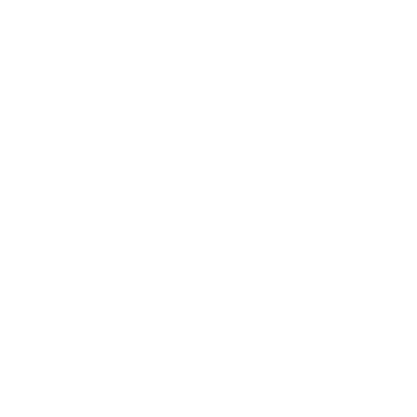 Client 17