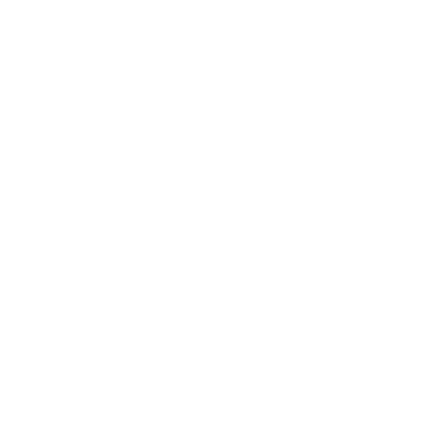 Client 31